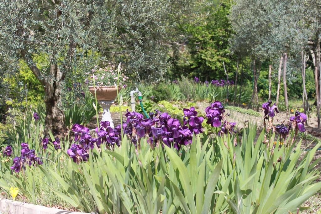 Amour Provence Séguret Kültér fotó