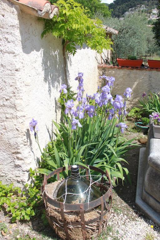 Amour Provence Séguret Kültér fotó